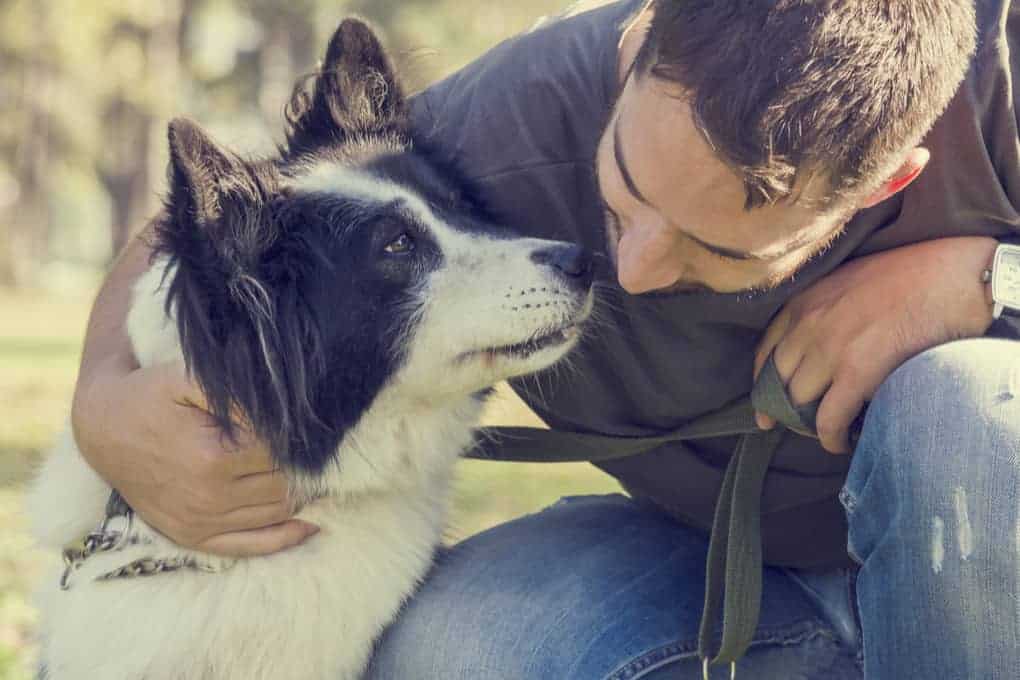 10 ways to make your dog know you love them