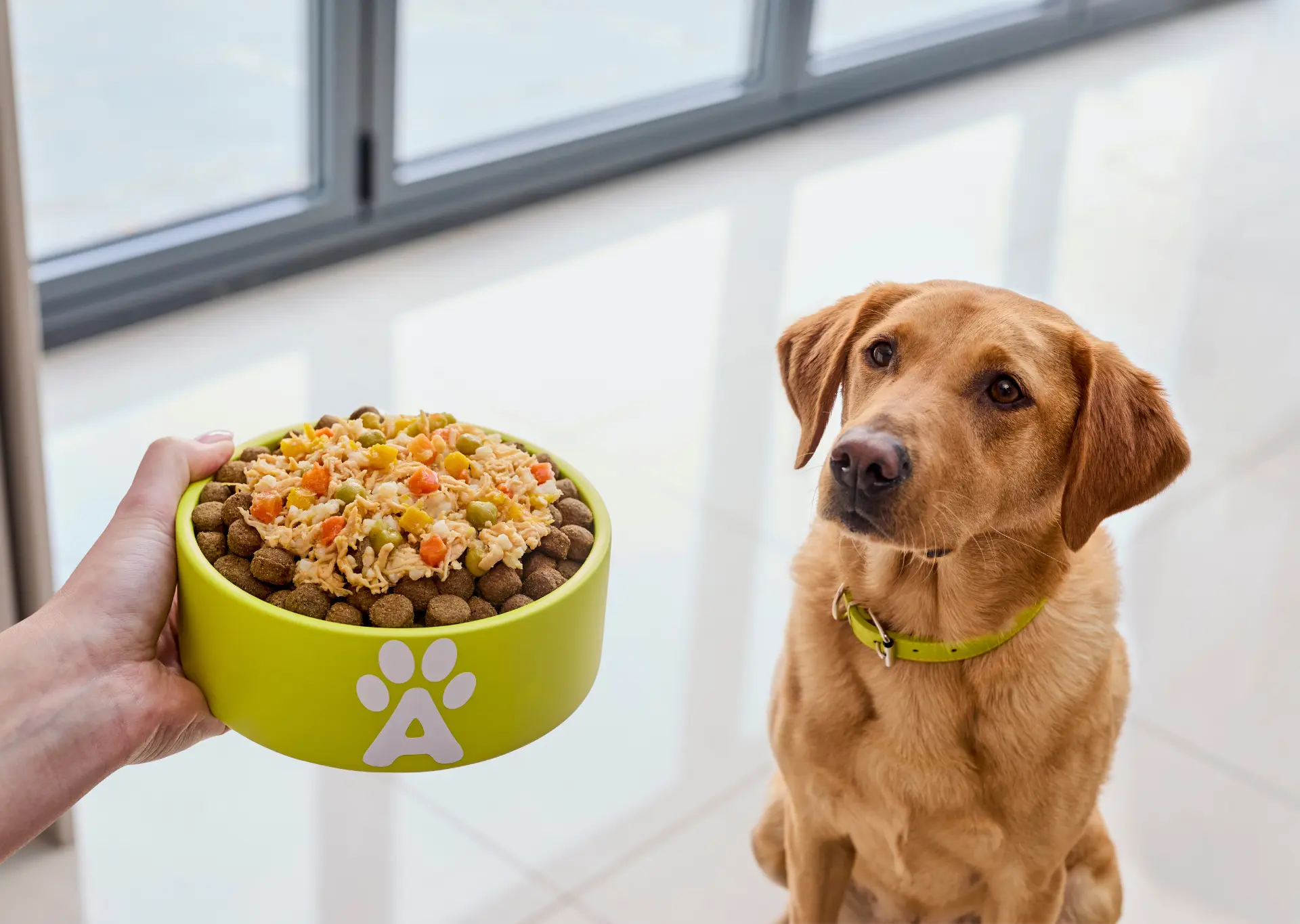 What Is Natural Dog Food? Ingredients, Benefits & What to Avoid